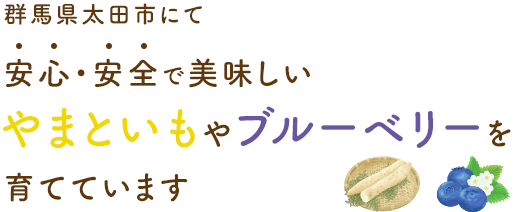 群馬県太田市にて安心・安全で美味しいやまといもやブルーベリーを育てています